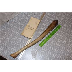 Walrus Large Bone (Canada Buyers Only)