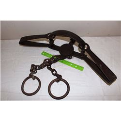 No.50 New House Trap