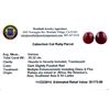 Image 2 : 20.32 ctw. Cabochon Cut Ruby Parcel