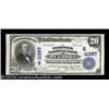 Image 1 : Pulaski, VA $20 1902 Plain Back Fr. 658 The Peoples NB