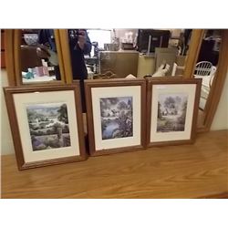 FRAMED PICTURES - 3 TTL - LANDSCAPES