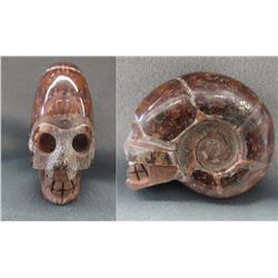 608.5 CT Fossil Ammolite with Skull Carving