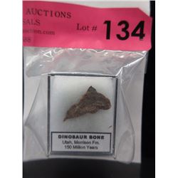 Genuine Dinosaur Bone in Capsule