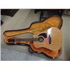 Image 1 : DeLoren Acoustic Guitar with Case