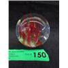 Image 1 : Signed Glass Eye Studio Millennium Paperweight