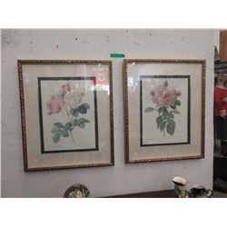 Pair of Bombay Company Framed Botanical Prints