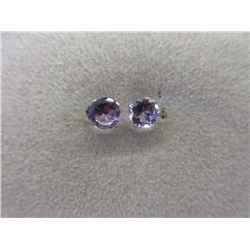 14KT White Gold New Amethyst Stud Earrings