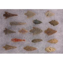 Sixteen Assorted Notched Gem Points 1