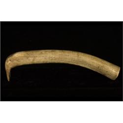 Nez Perce Elk Horn Hide Scraper Notch