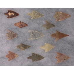 Thirteen Assorted Bird Points 1" - 3/