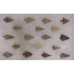 Eighteen Assorted Game Points 1" L. G