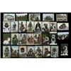 Image 1 : Twenty Eight Old Postcards of Alaska