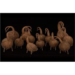 Thirteen Eastern Canadian Native Tama