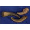 Image 1 : Two Powder Horns and a Clay Pipe 5 3/