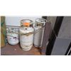 Image 2 : Qty 3 Propane Tanks (empty)