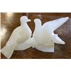 Image 2 : ONYX LOVEBIRDS