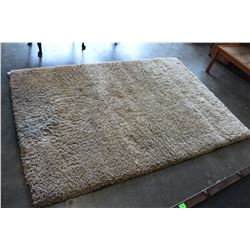 BEIGE SHAG CARPET