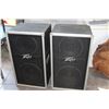 Image 1 : PAIR OF PEAVEY FLOOR SPEAKERS