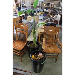 PAIR OF BLACK POTTERY PLANTERS AND PLANT