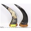 Image 1 : SET OF HAND CARVED BULL HORNS
