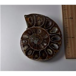 #12 - LARGE NATURAL AMMONITE FOSSIL SPECIMEN