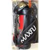 Image 1 : MAXFLI LEATHER GOLF BAG