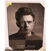 Image 1 : NEW JAMES DEAN PLAQUE STYLE WALL HANGING 24"X34"