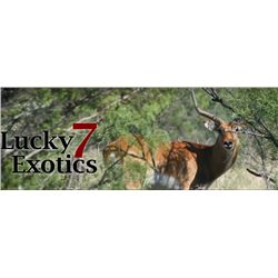 Beer & Deer for Heroes Donation Benefitting The Boot Campaign and Sci Houston Heroes Outdoors!