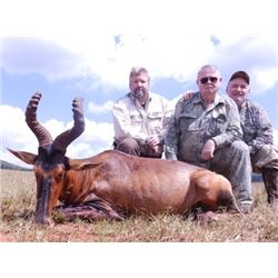 South Africa: Ka Maoto Safaris - Northwest Province