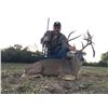 Image 1 : Texas: Cotton Mesa Trophy Whitetail Ranch - Corsicana