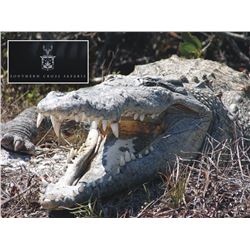 South Africa/Mozambique: Southern Cross Safaris - Eastern Cape/Niassa