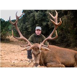 Spain: Caza Hispanica - Valencia