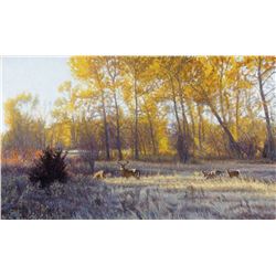 John Banovich’s ‘Montana Gold’