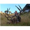 Image 1 : New Zealand: Alpine Hunting New Zealand - North Island