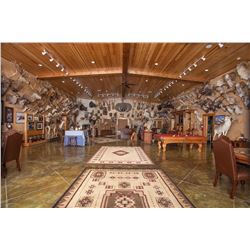 Texas: Mike Simpson’s Conroe Taxidermy - Bedias