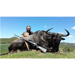 Africa: Gamka Safaris – Western Cape