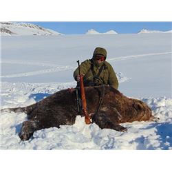 Croatia: Hunt In Europe - Zagreb