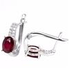 Image 1 : Genuine Pigeon Blood Ruby Earrings