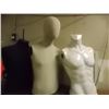 Image 1 : MANNIQUIN BUSTS - 3 TTL