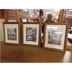 FRAMED PICTURES - 3 TTL - LANDSCAPES