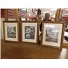 Image 1 : FRAMED PICTURES - 3 TTL - LANDSCAPES