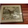 Image 1 : FRAMED PRINT - DOG