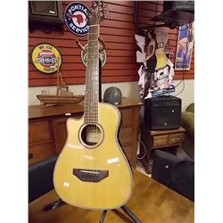 ACOUSTIC GUITAR - BEAVER CREEK - LEFT HANDED!!!
