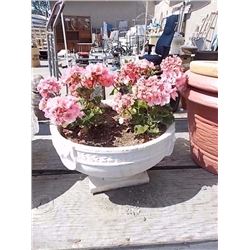 CONCRETE PLANT POT WITH FLOWERS