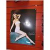 Image 1 : MEMORABILIA - METAL SIGN - 3-D PIN UP GIRL