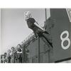 Image 1 : Marilyn Monroe Oversized Photograph