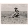 Image 2 : Ernest Hemingway