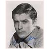 Image 1 : Alain Delon