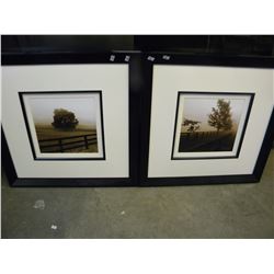 2 FRAMED SIGNED & NUMBERED PRINTS BY ALICIA SOUBE (22 3/8" X 22 3/4")