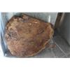 Image 2 : SLAB OF BURL WOOD
